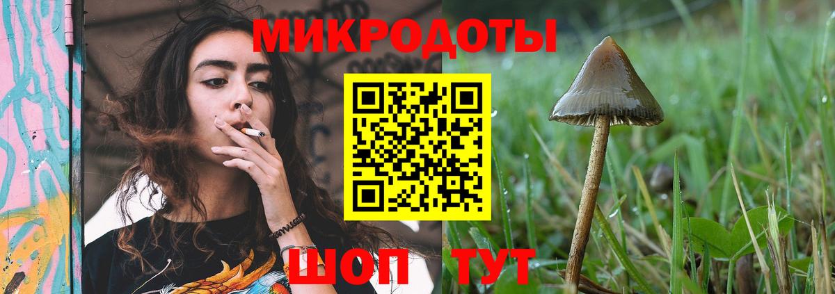 Галлюциногенные грибы Cubensis  Галлюциногенные грибы мицелий  Вход с VPN  Белово 